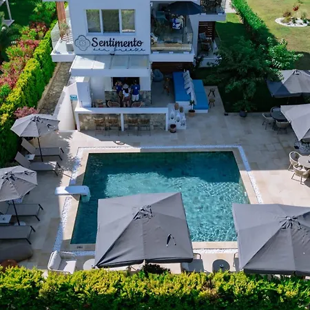 Sentimento Sea Breeze