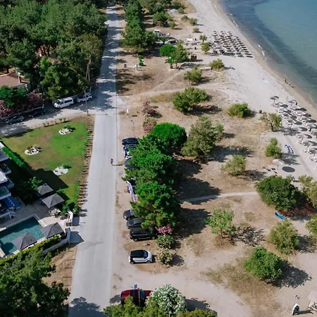 Sentimento Sea Breeze *